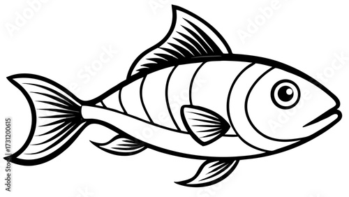 Illustration of a fish with detailed fins and scales in black and white outline style drawing isolated