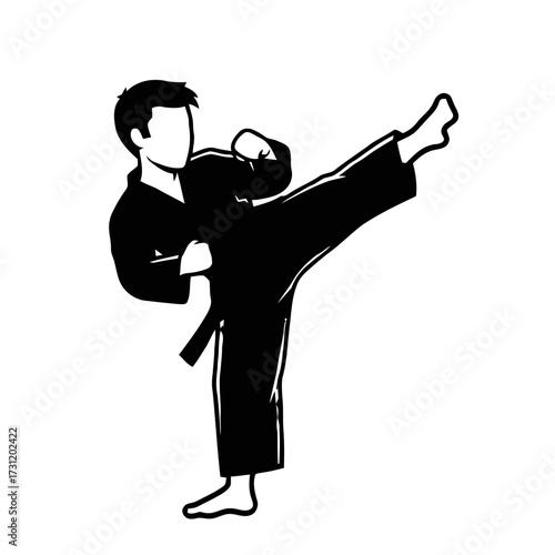 Silhouette man performing martial arts kick