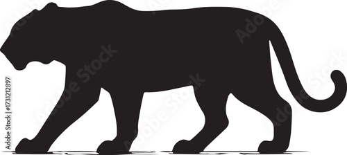 Silhouette of a powerful black panther walking gracefully with its tail curled and head down on a white background
