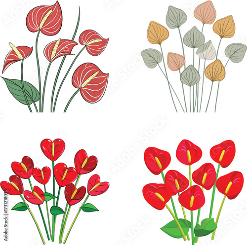 Colorful Anthurium Flower Vector Collection for Botanical Designs. 
