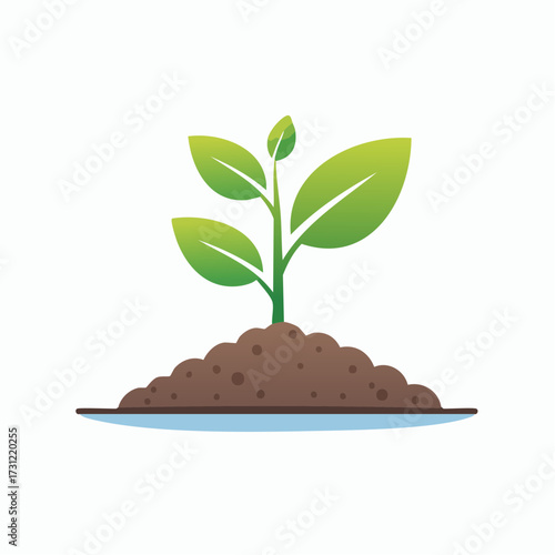 A young green plant with four leaves growing from a mound of soil, symbolizing growth, nature, and new beginnings