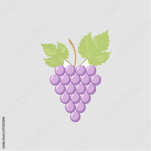 A bunch of purple grapes with a brown stem and two green leaves attached, depicted in a simple, clean illustration style