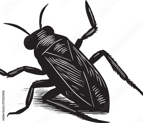 Detailed illustration of a black water boatman insect with visible legs and antennae on a white background