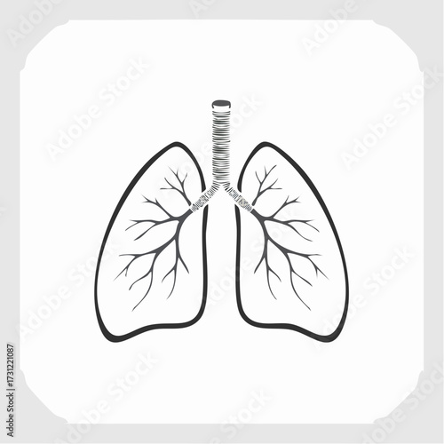Simplified black and white illustration of human lungs showing bronchial tubes and branching airways