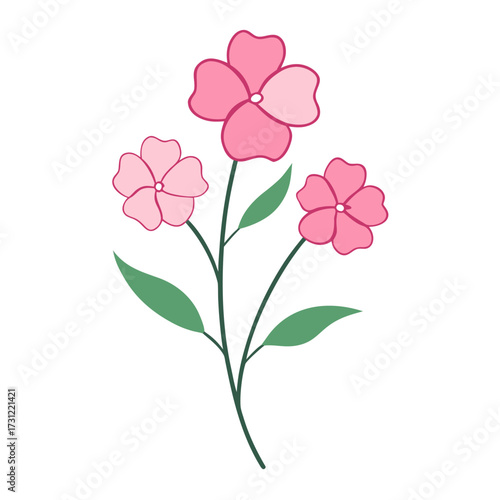 a branch of nemesia poetry  pink  flower vector on white