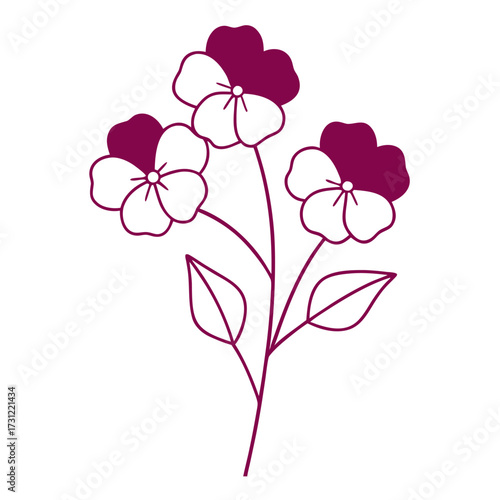  nemesia poetry  pink flower vector illustration isolated