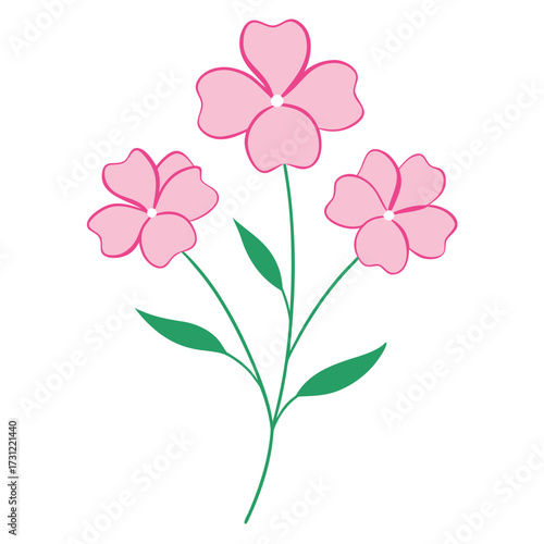  nemesia poetry  pink flower line art vector on white