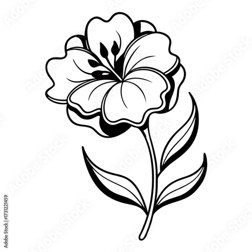 minimal nemesia poetry  flower vector illustration isolated