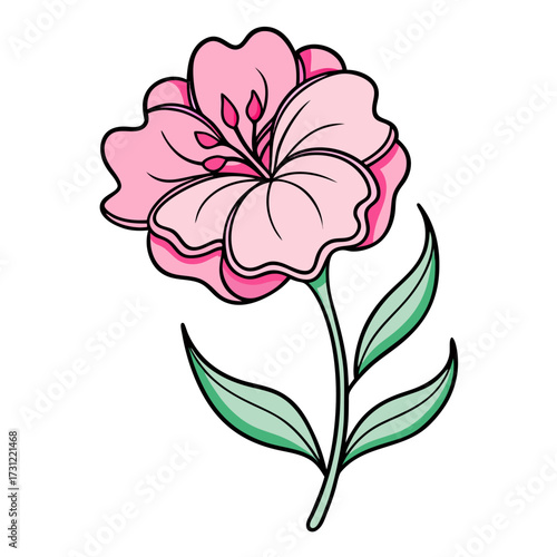 nemesia poetry  pink flower line art vector illustration isolated