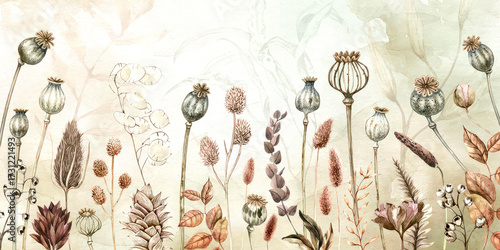 Watercolor painting of dried flowers and seed heads on a light background