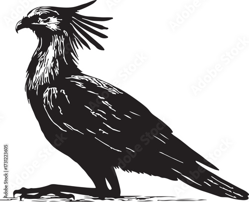 Striking black and white illustration of a secretary bird with its distinctive crest standing on a white background