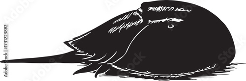 Stylized black and white illustration of a person wearing a burqa or niqab conveying a sense of mystery and anonymity
