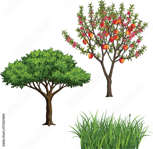 Green leafy tree illustration, fruit bearing tree with red and yellow fruits, pink blossoms, tall grass vegetation, seasonal botanical landscape design