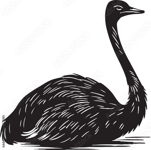 Detailed black and white woodcut illustration of a large flightless bird with a long neck and feathered body resting peacefully