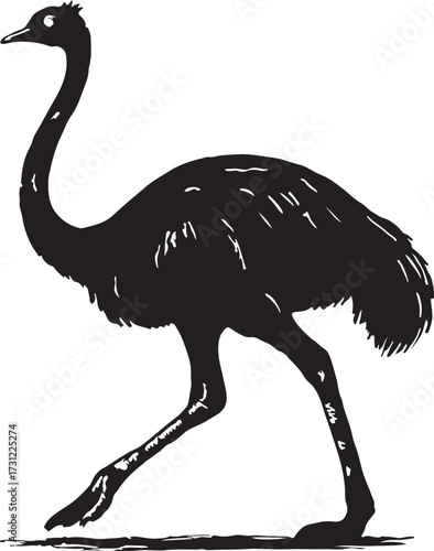 Detailed black silhouette illustration of a large flightless bird with a long neck and legs walking in profile