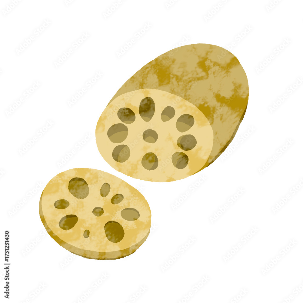 Obraz premium れんこん