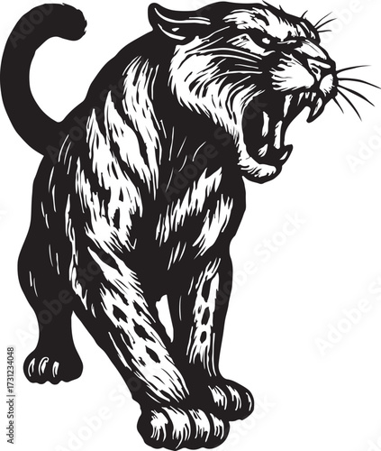 Fierce black panther roaring with bared teeth and intense eyes depicted in a dramatic black and white illustration