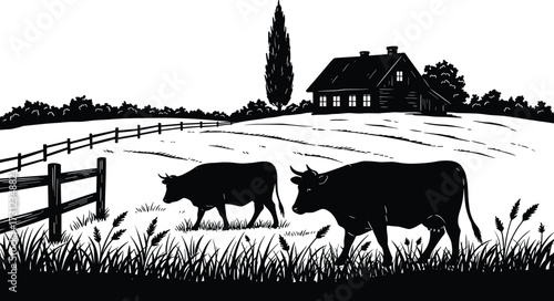 Rural farm landscape illustration with grazing cows in pasture, wooden fence, farmhouse, field and trees, traditional countryside agriculture scene, black and white vector design