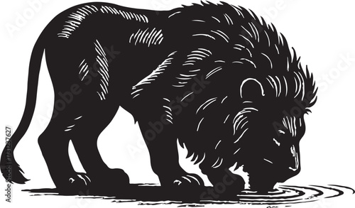 Majestic black lion with a thick mane drinking water from ripples in a stylized illustration