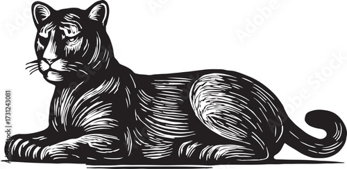 Elegant black panther reclines majestically in a detailed woodcut illustration with a white background