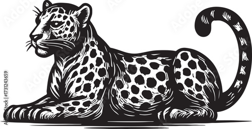 Stylized black and white illustration of a majestic leopard resting with its tail curled elegantly around its body
