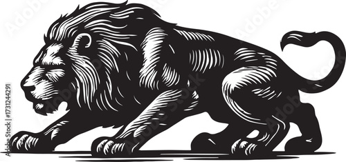 Majestic black and white engraving style illustration of a powerful lion in a dynamic stance