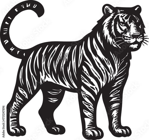 Majestic bengal tiger standing proudly with striking black and white stripes and curled tail