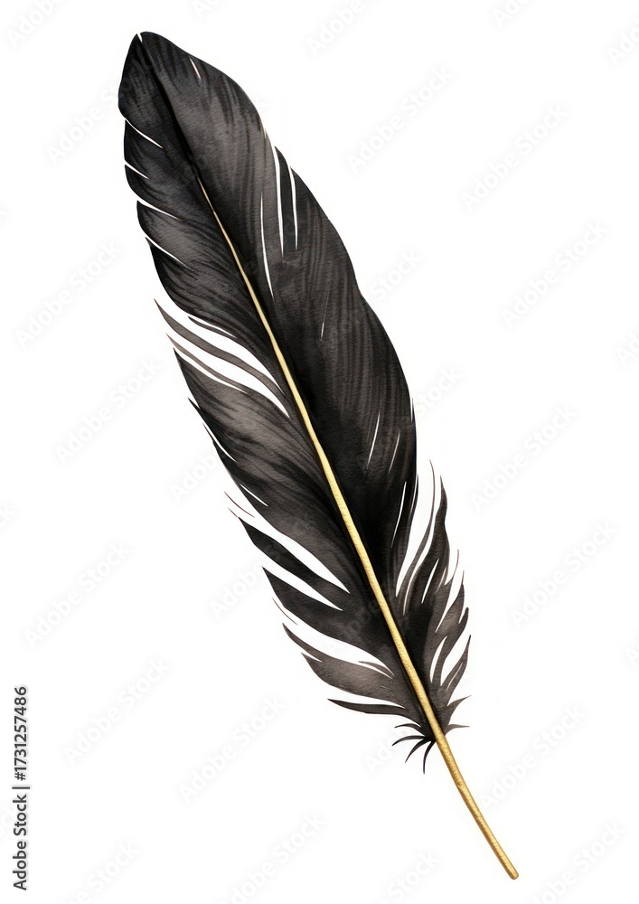 Obraz premium Black color feather leaf white background lightweight.