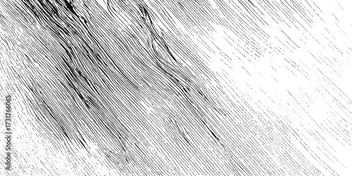 An old, rough grunge texture pattern of black and white painted wood on a wall surface for design backgrounds