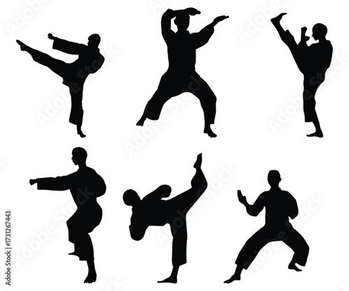 Dynamic Martial Arts Silhouettes Vector Collection