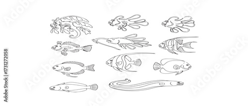 Collection of unique tropical fish species with intricate line drawings on white background