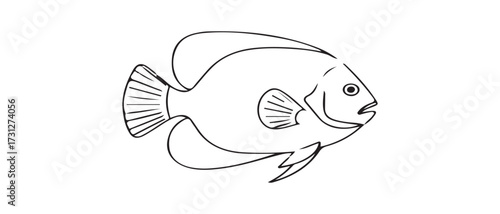 Stylized tropical fish illustration in black and white for coloring pages and educational resources