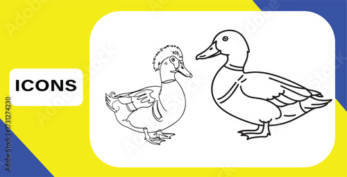 Two duck icons design vector illustration of domestic animal birds vector graphics design element