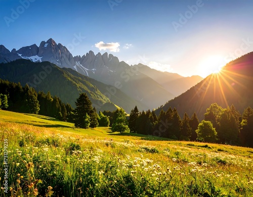 Lush alpine meadow at sunrise
