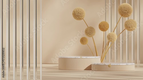 glass wall and mimosa flower in rendering 3d footage of empty scene marble podium pedestal looping seamless shadow animation