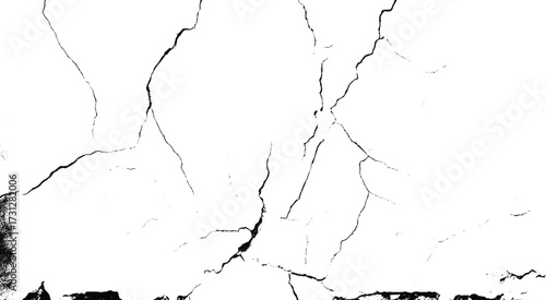 Black and white grunge crack texture. old wall background crack vector, grunge texture. crack on the wall with broken pieces.
