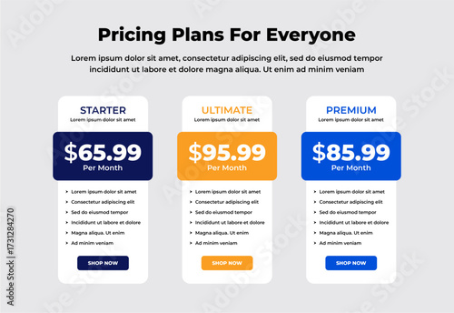 Modern price comparison table for products or services