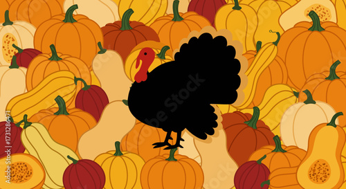 A black turkey stands among various pumpkins and gourds in shades of orange yellow and brown