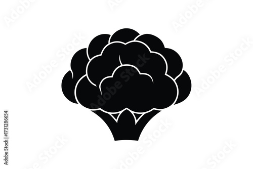 cauliflower vector icon illustration design