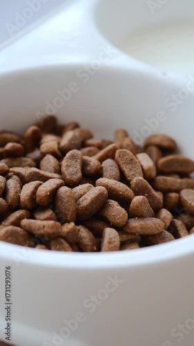 Dog food preparation for healthy pets at home
