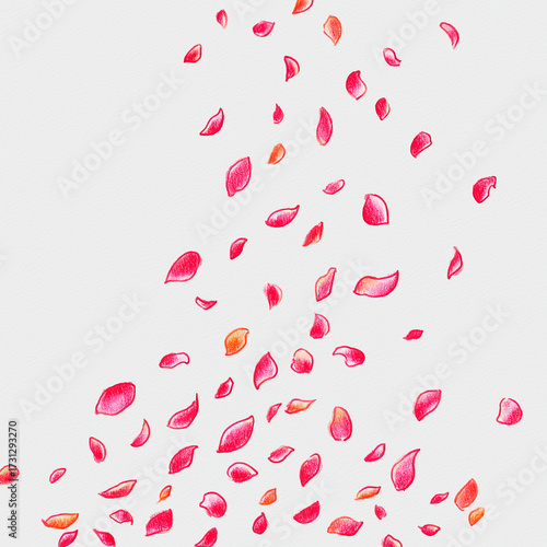 Falling Pink Flower Petals Isolated on White Background with Copy Space