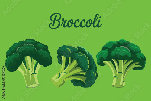 Broccoli Vector Illustration Set Green Healthy Vegetable Diet Background