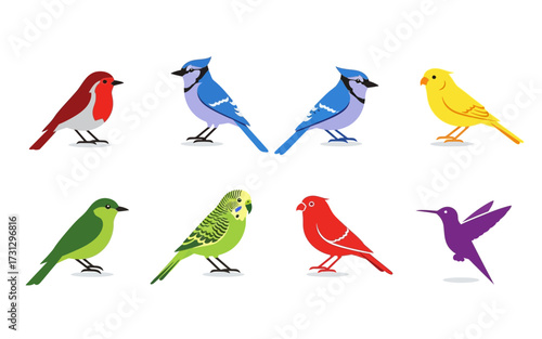 Illustration showcasing eight different species of birds with varied colors and distinct characteristics