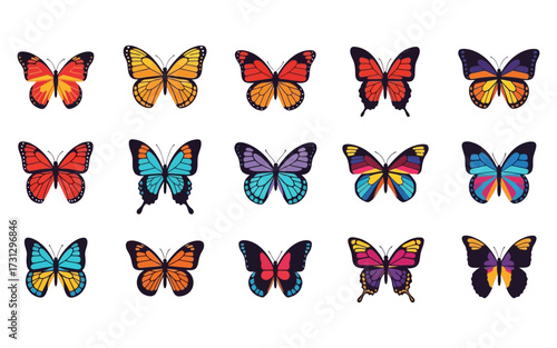 Collection of fifteen colorful butterflies with various wing patterns and vibrant color combinations on display