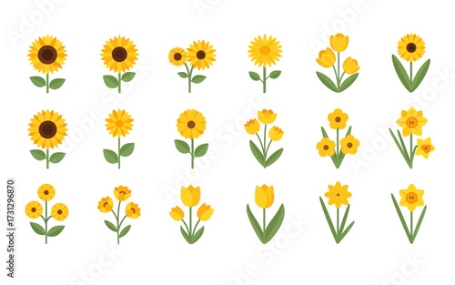 Collection of sunflowers, tulips, and daffodils arranged in rows, showcasing various floral arrangements and styles