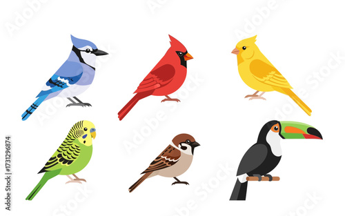 Illustration of six different species of birds including a toucan, sparrow, and a blue jay on white