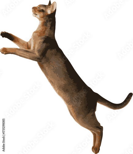 Agile abyssinian cat leaping gracefully against white background