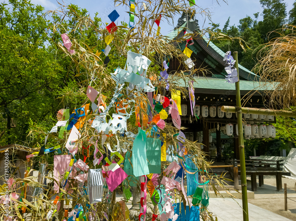Fototapeta premium 神社での夏のイメージの七夕にちなんだ七夕飾りや無病息災を願う夏の歳時の夏越しの祓えの茅の輪くぐりのイメージ