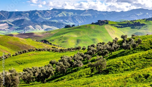 Rolling hills, vibrant green landscape