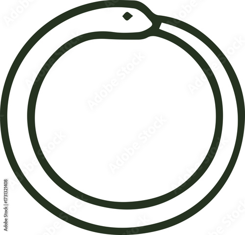 Timeless Ouroboros Snake Devouring Tail Emblem of Infinity and Rebirth